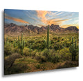 Santa Catalina Mountains with Saguaros Photography Print, Catalina State Park Tucson Arizona Desert Landscape Wall Art