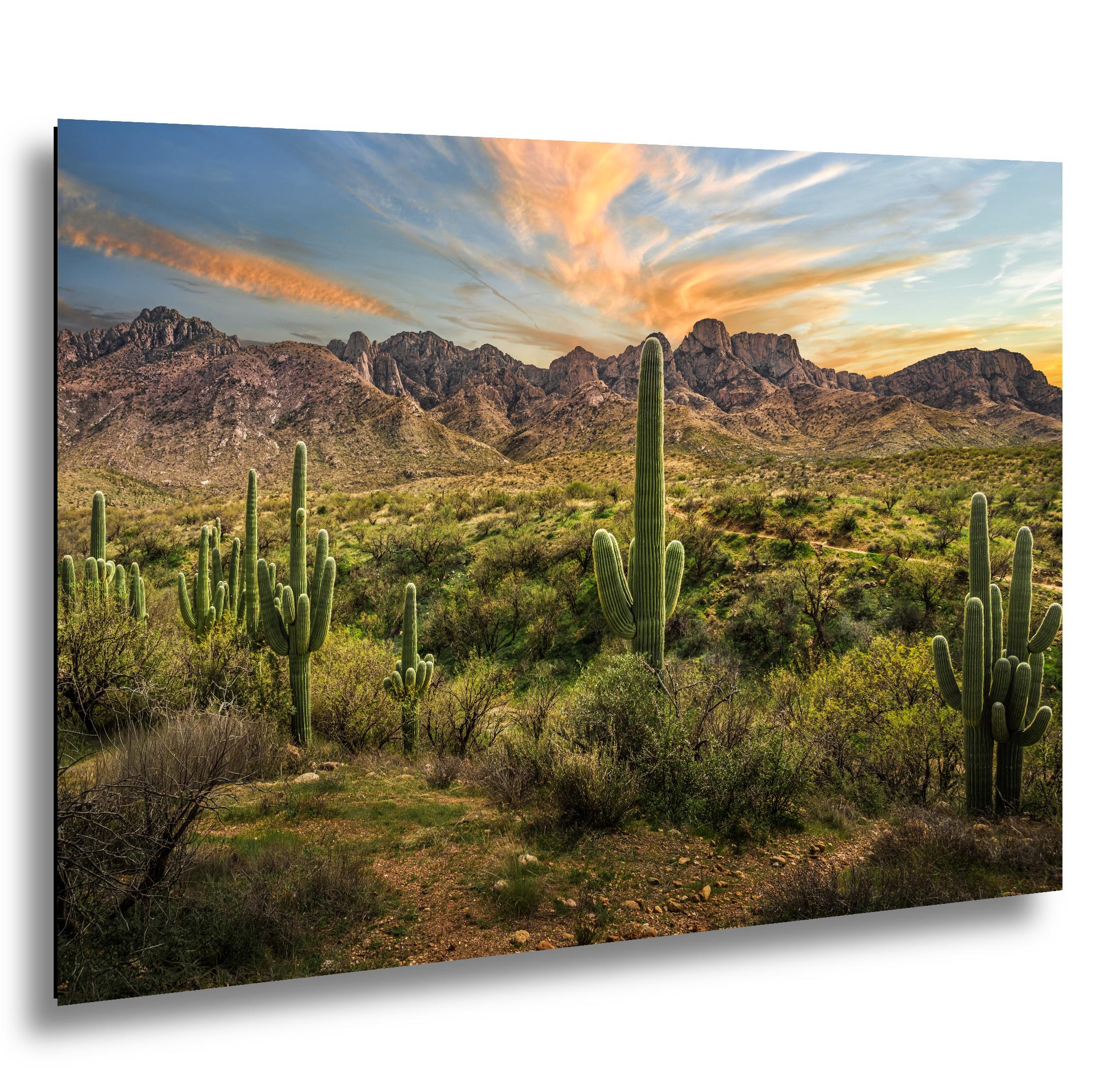 Santa Catalina Mountains with Saguaros Photography Print, Catalina State Park Tucson Arizona Desert Landscape Wall Art