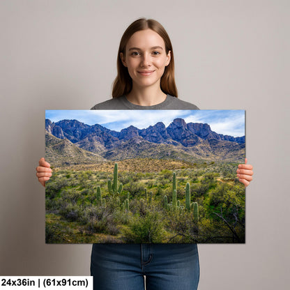 Catalina State Park Saguaros with Rocky Mountain Peaks - Tucson Arizona Sonoran Desert Photography Print