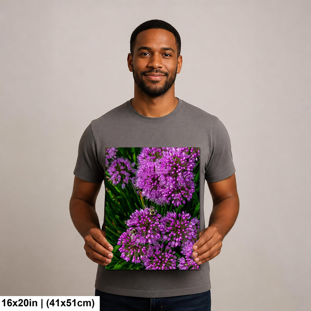 Purple Allium Blooms: Botanical Macro Flower Garden Photography Wall Art