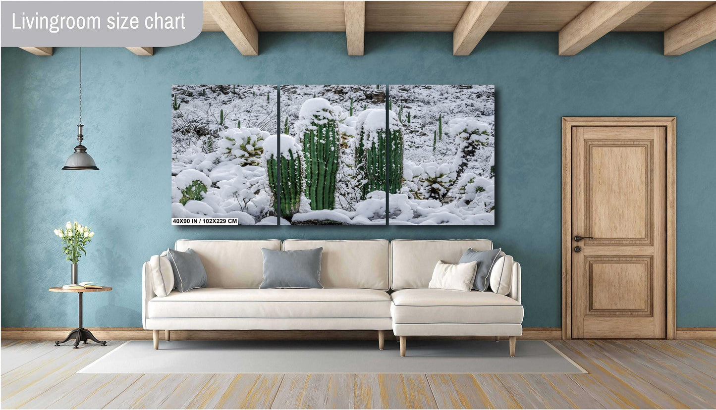 Saguaro Cactus Photography: Black and White Desert Minimalist Wall Art