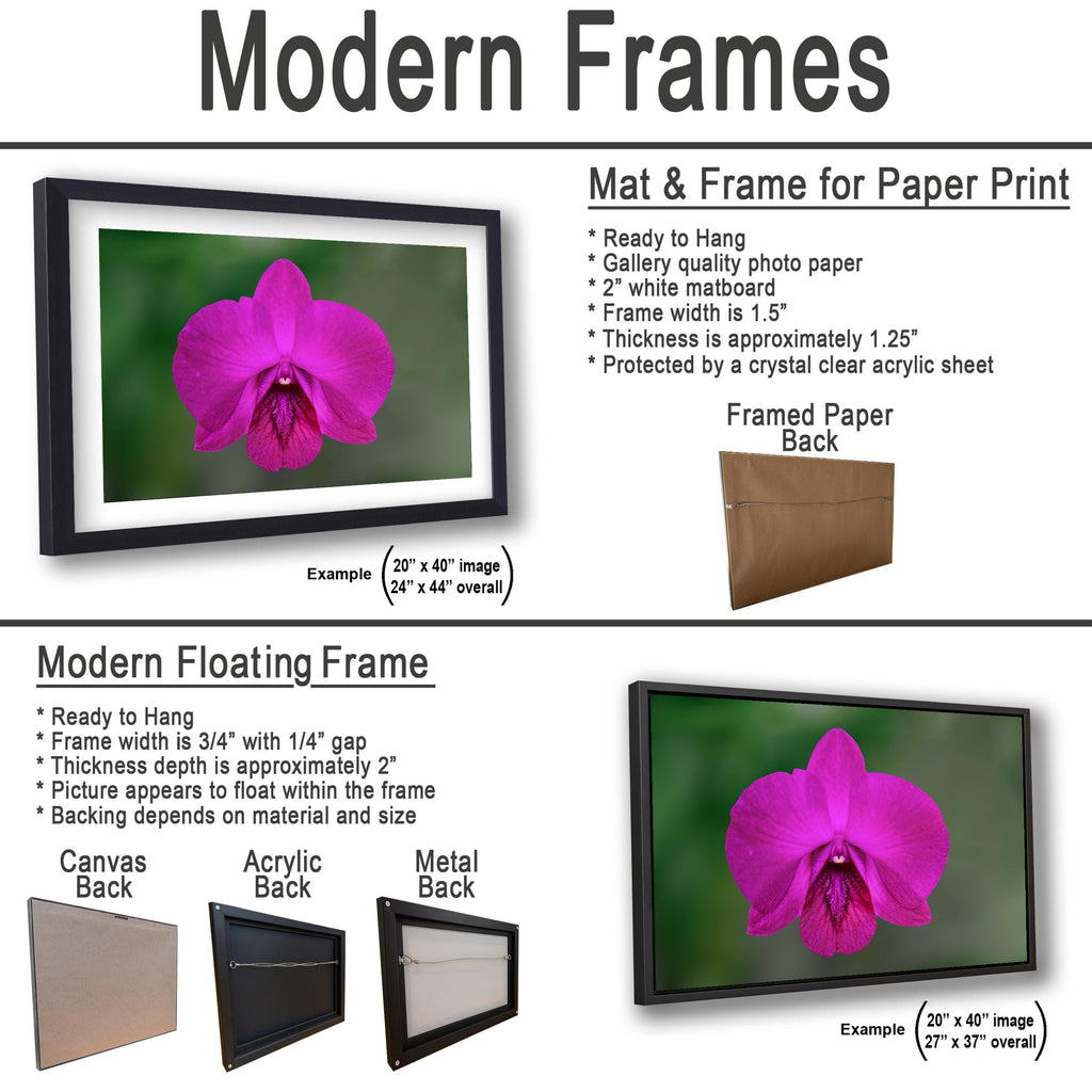 Violet Beauty: Purple Orchid Flower Botanical Floral Photography Wall Art