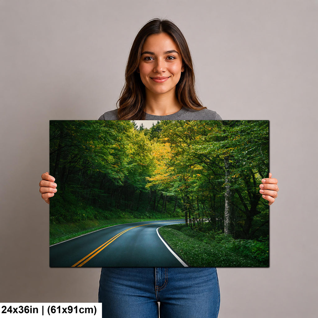 Forest Bend: Great Smoky Mountains National Park Road Photography Wall Art