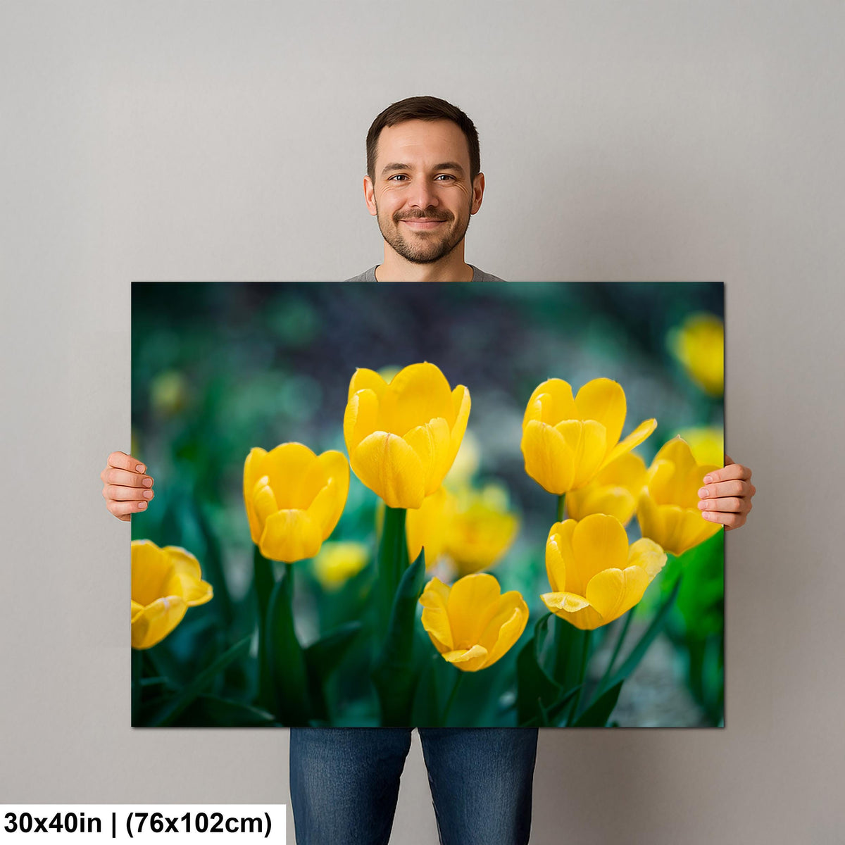 Sunlit Blooms: Yellow Tulip Flower Photography Botanical Floral Wall Art