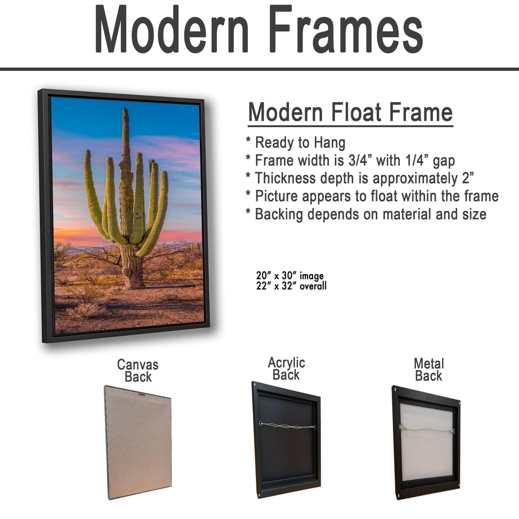 Multi-Arm Saguaro at Sunset - Saguaro National Park East Tucson Arizona Photography Print
