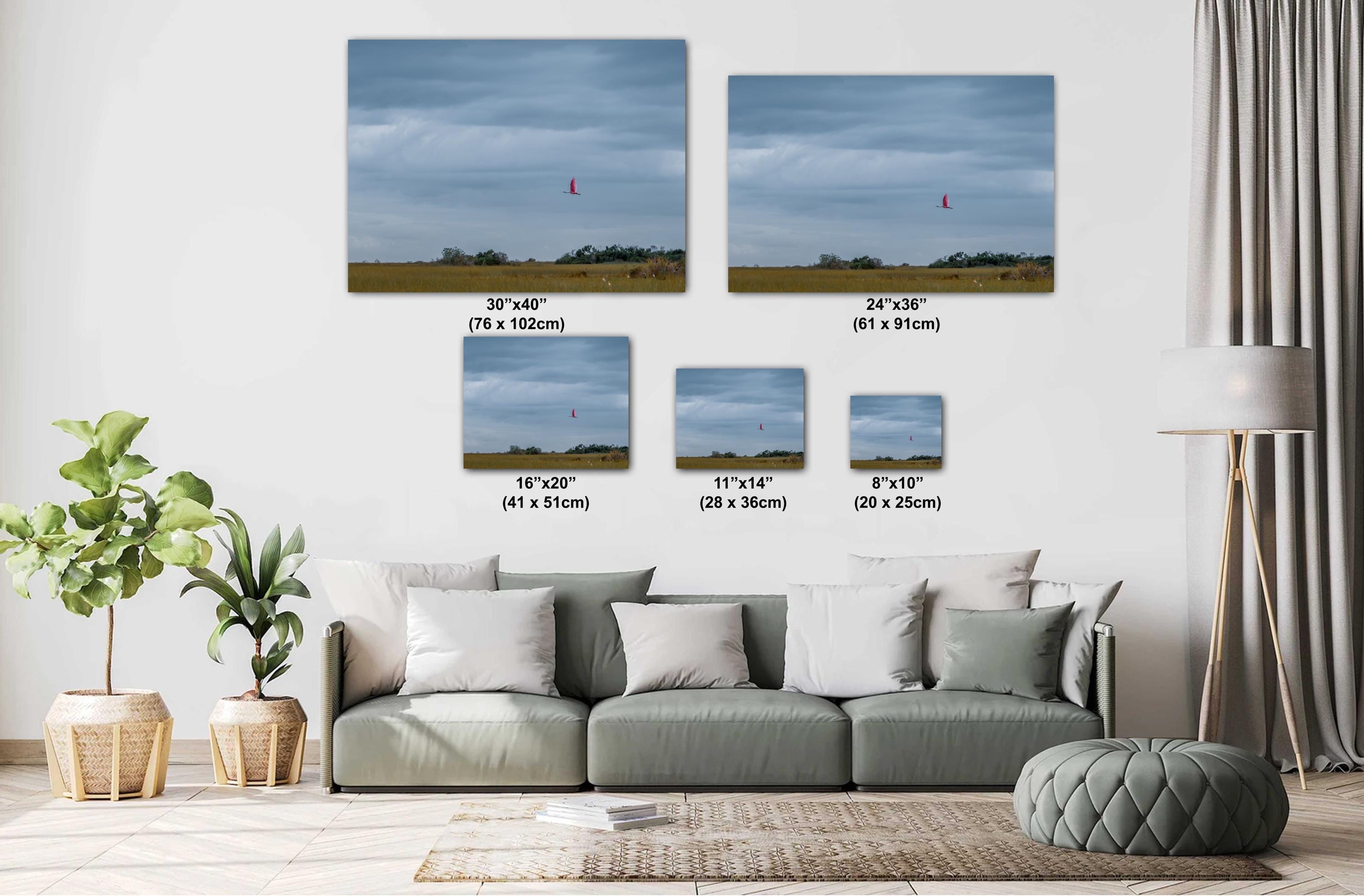 Everglades Roseate Spoonbill In Flight: Everglades National Park Florida Print Wall Art Bird Photography Aluminum/Acrylic/Metal/Canvas