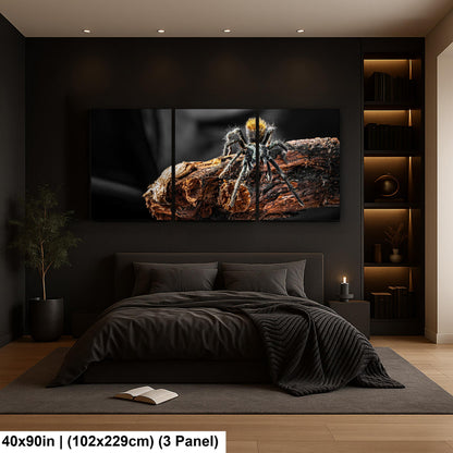Arizona Blonde Tarantula on Desert Wood Southwest Wildlife Photography Print