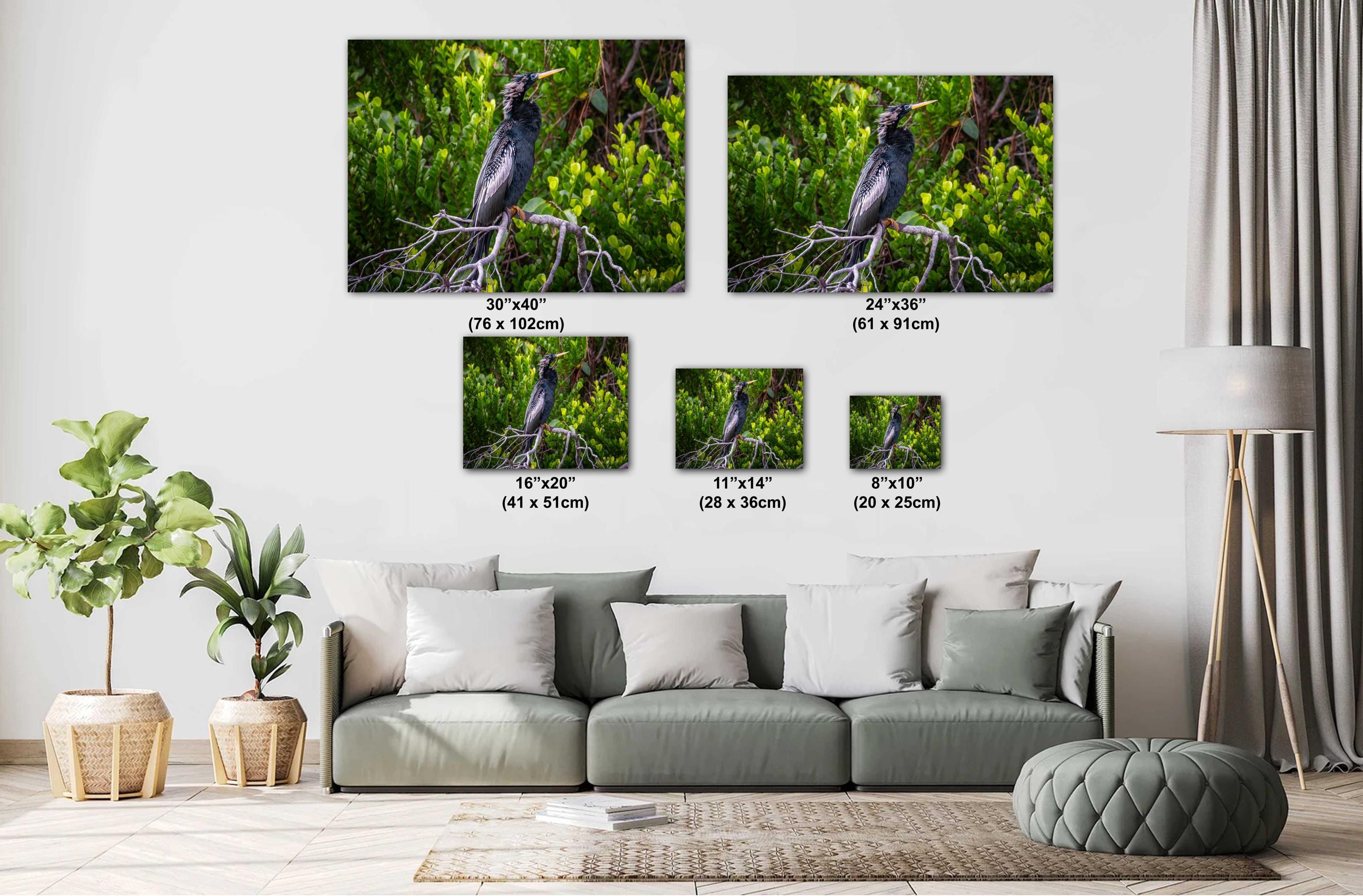 A print wall art depicting a black Anhinga bird perched on branches in a wetland setting, with vibrant green foliage in the background.