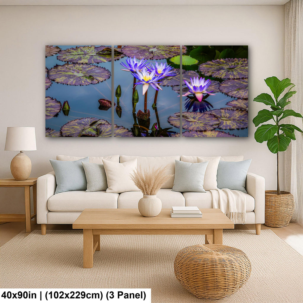 Purple Star Lotus: Botanical Water Lily Flower Pond Photography Wall Art
