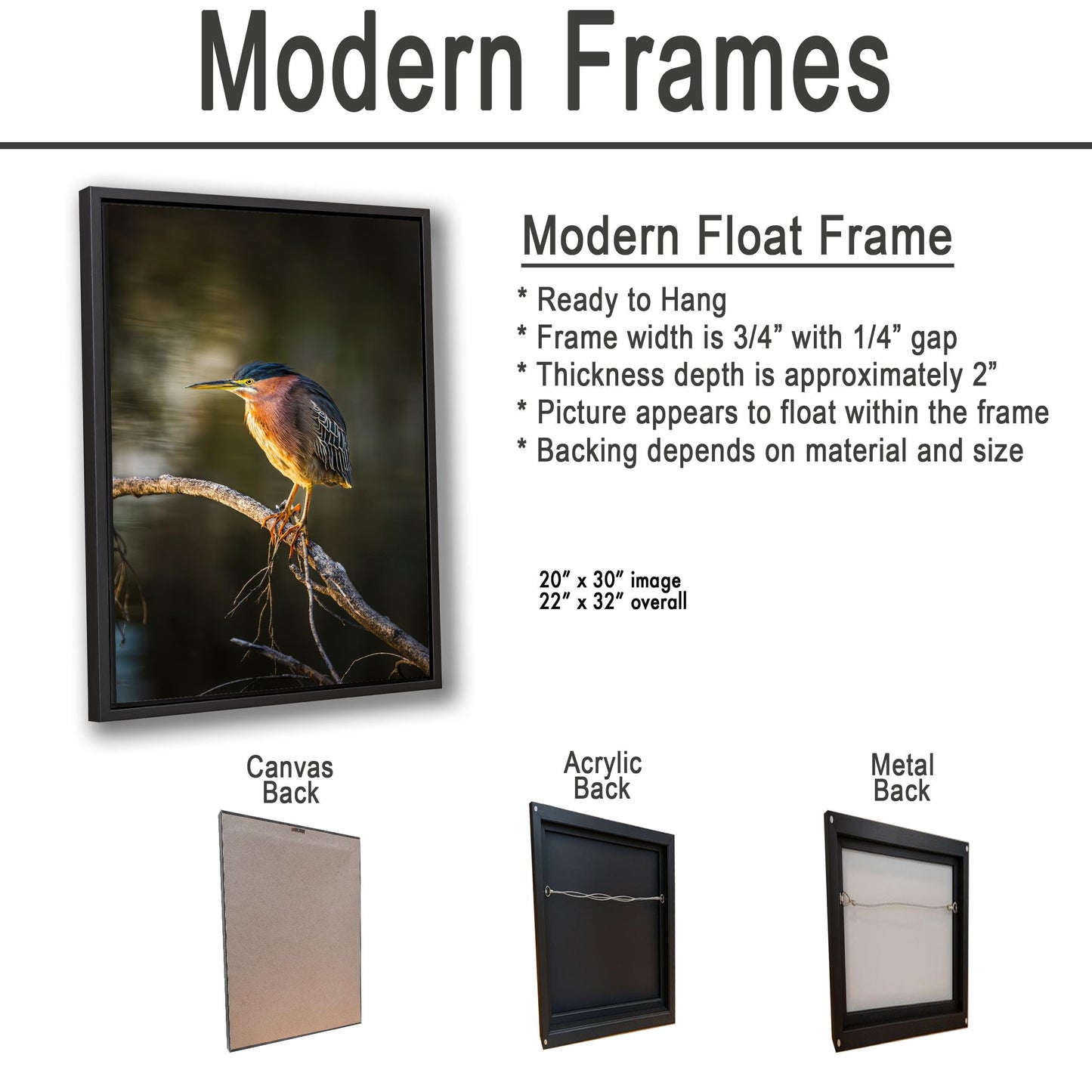 Green Heron Photography Print, Agua Caliente Park Tucson Arizona, Bird Wall Art, Nature Home Decor, Wildlife Gift
