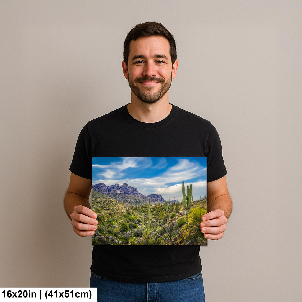 Sonoran Desert Valley with Saguaros and Mountains - Catalina State Park Tucson Arizona Photography Print