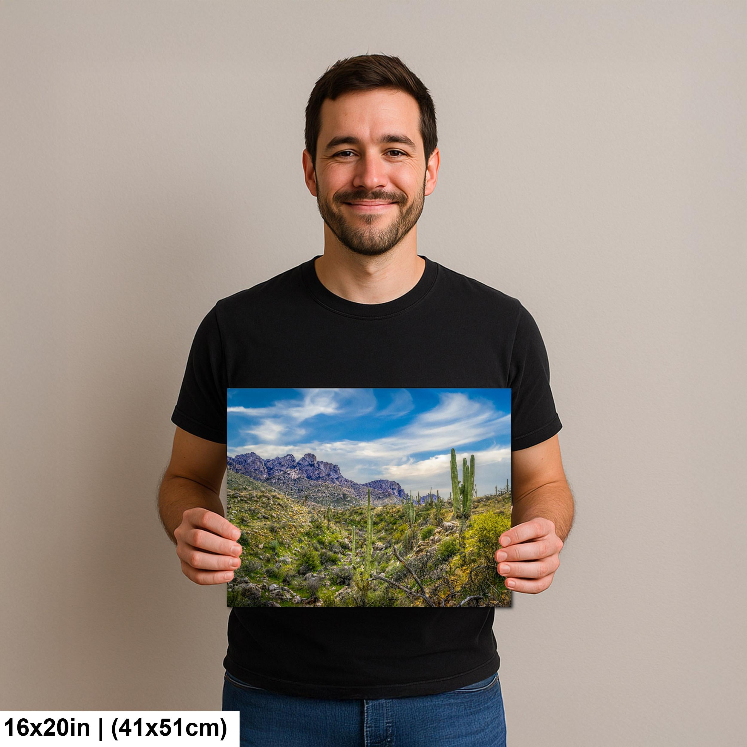 Sonoran Desert Valley with Saguaros and Mountains - Catalina State Park Tucson Arizona Photography Print