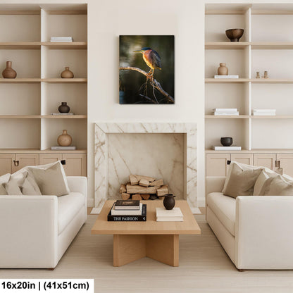 Green Heron Photography Print, Agua Caliente Park Tucson Arizona, Bird Wall Art, Nature Home Decor, Wildlife Gift