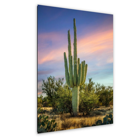 Oro Valley Saguaro at Dusk Photography Print, Tucson Arizona Desert Landscape, Southwestern Wall Art, Cactus Decor