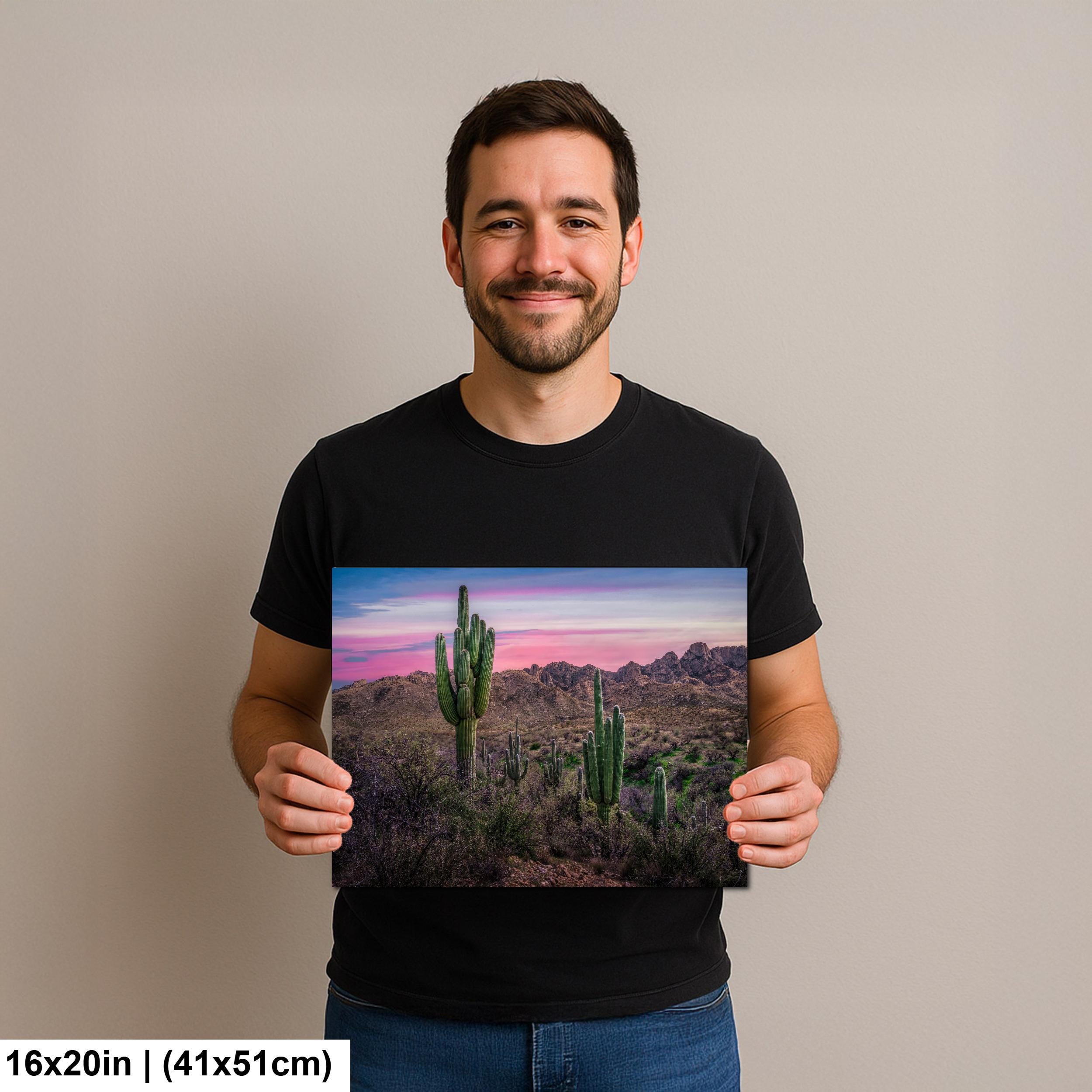 Sonoran Desert Sunset with Saguaros - Catalina State Park Tucson Arizona Photography Print