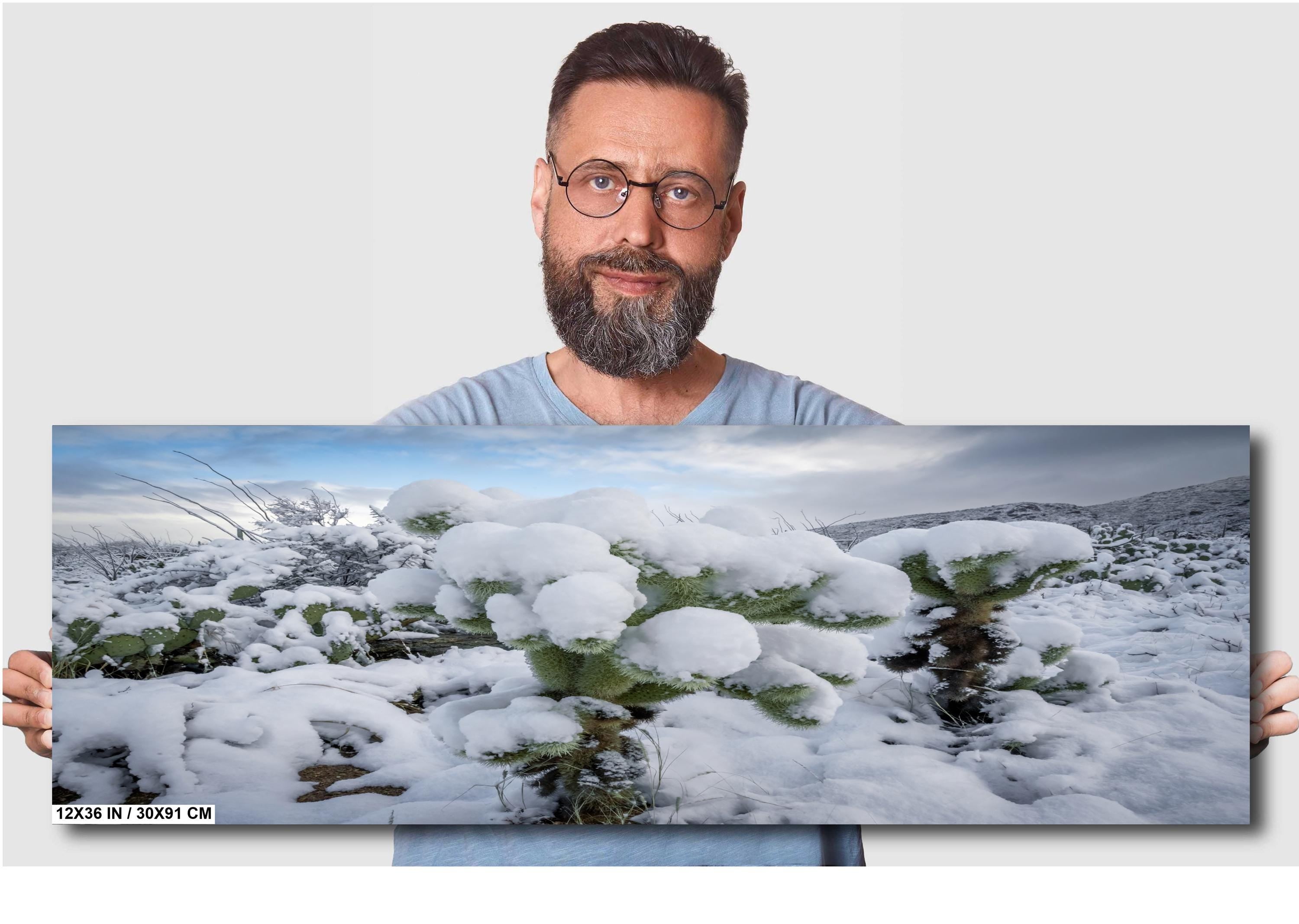 Snowy Cactus Wonderland Print: Arizona Winter Desert Photography