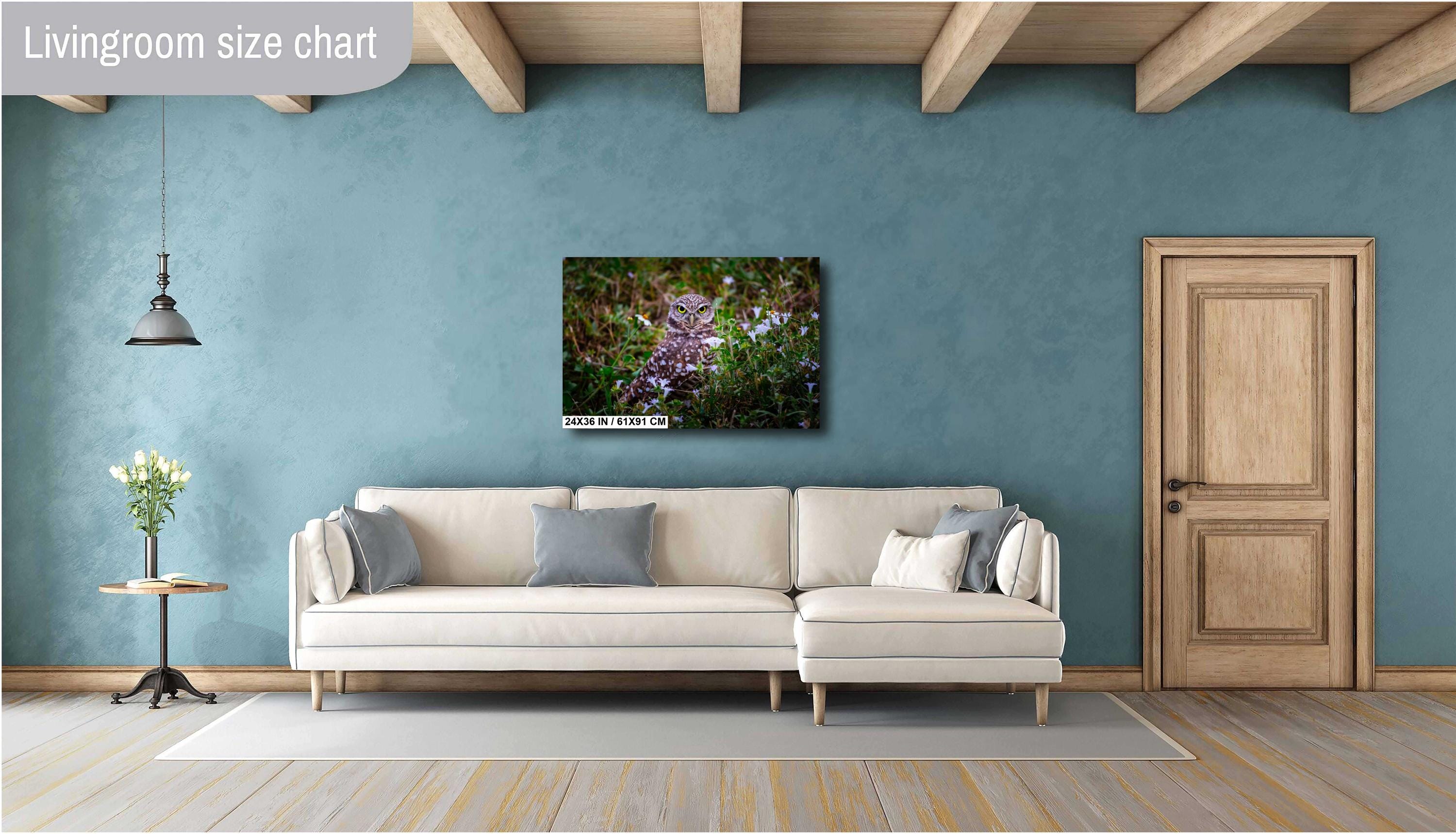 Burrowing Owl Amid Blossoms and Grass – Cape Coral’s Feathered Star The Americas Print Wall Art Photography Aluminum/Acrylic/Metal/Canvas