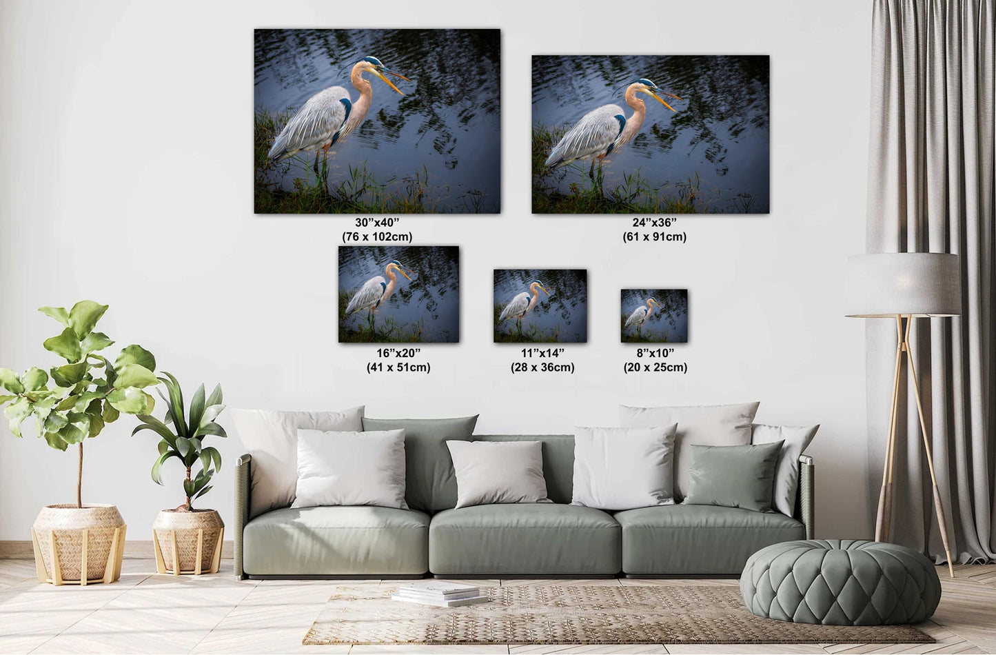 Laughing Blue Heron: Everglades National Park Florida Bird Print Wall Art Photography Animal Wildlife Aluminum/Acrylic/Metal/Canvas