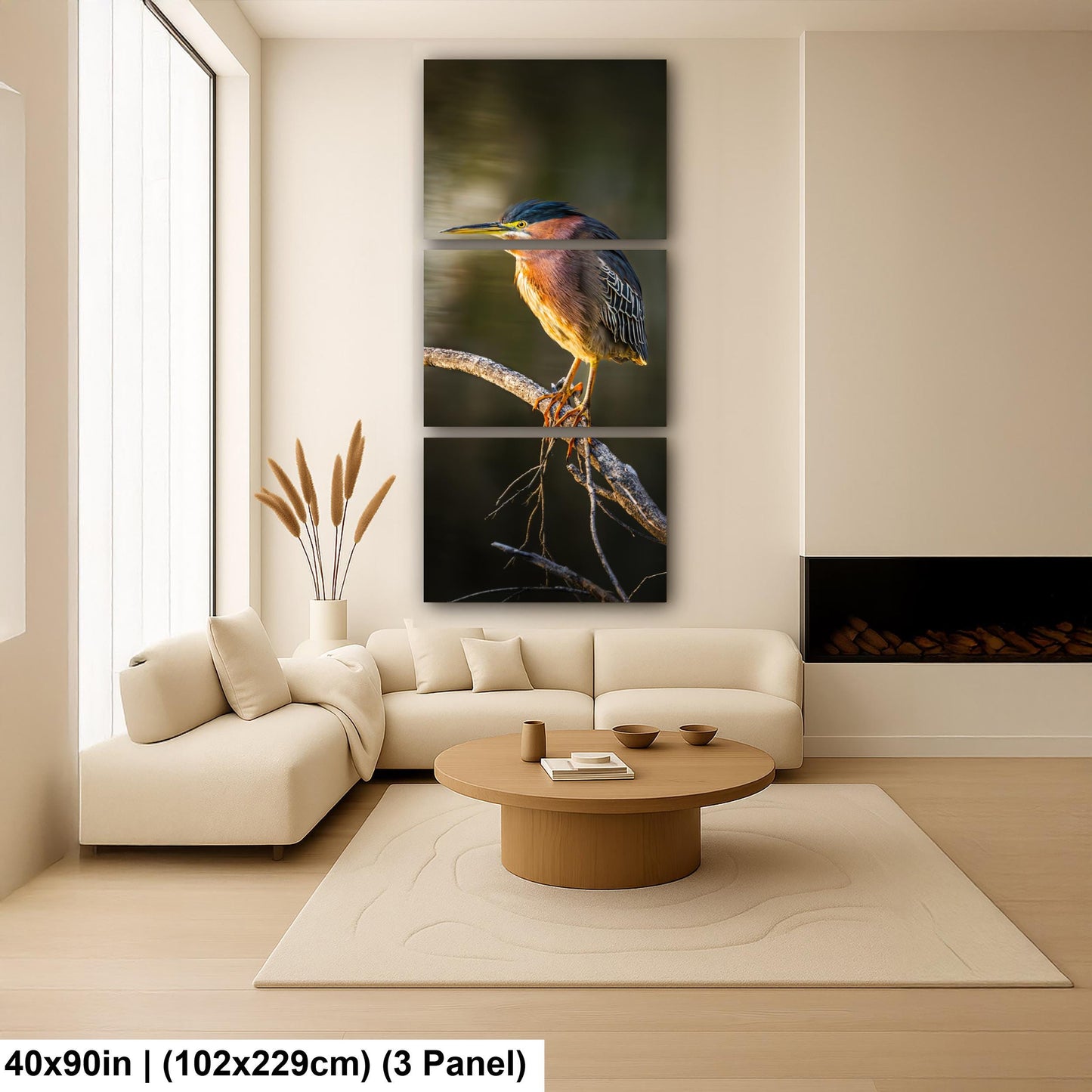Green Heron Photography Print, Agua Caliente Park Tucson Arizona, Bird Wall Art, Nature Home Decor, Wildlife Gift