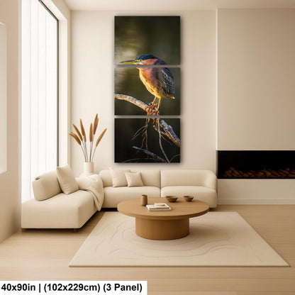 Green Heron Photography Print, Agua Caliente Park Tucson Arizona, Bird Wall Art, Nature Home Decor, Wildlife Gift