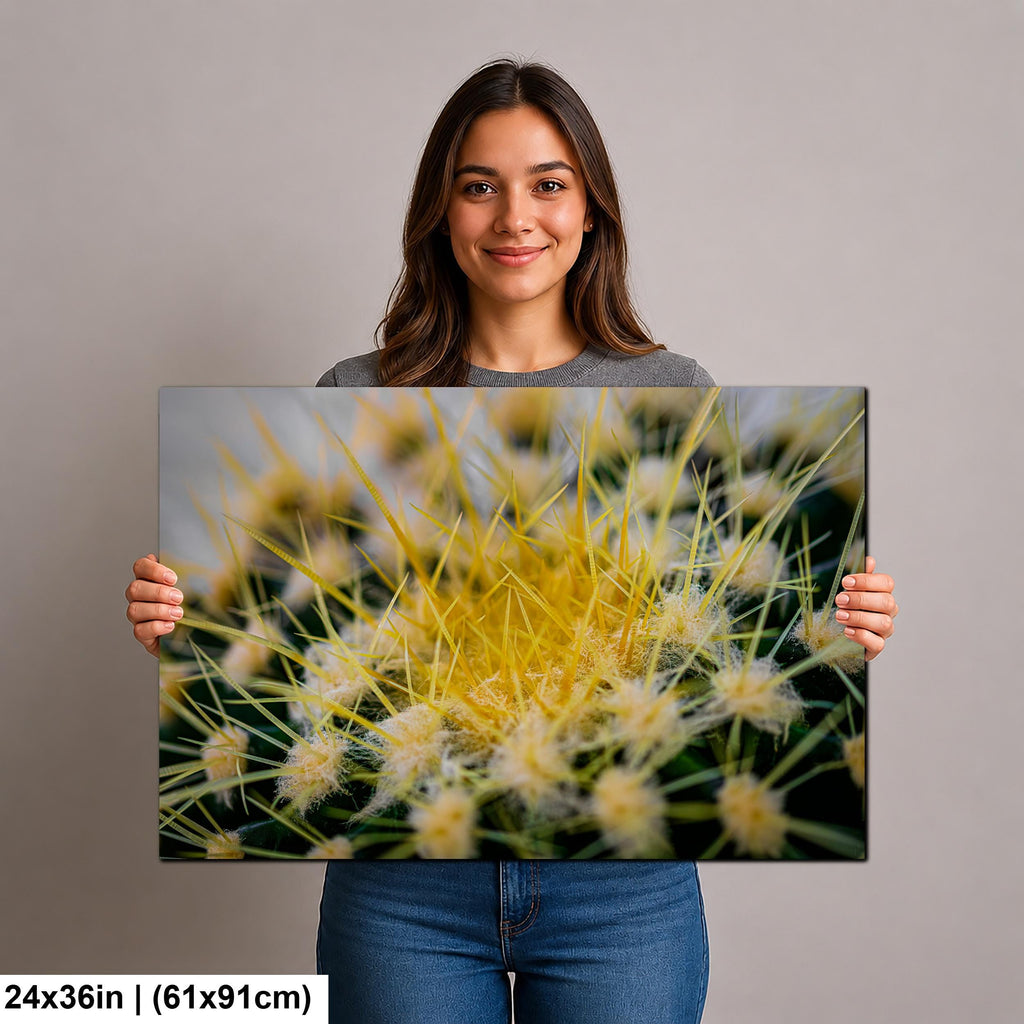Golden Barrel Cactus: Yellow Spines Macro Botanical Photography Wall Art