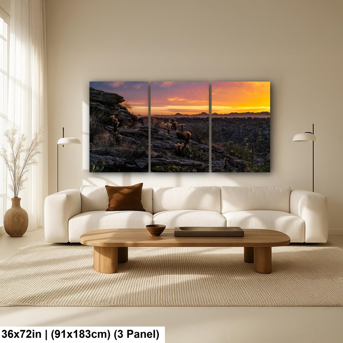Sonoran Desert Sunset with Cholla and Saguaros - Casa Grande Arizona Photography Print