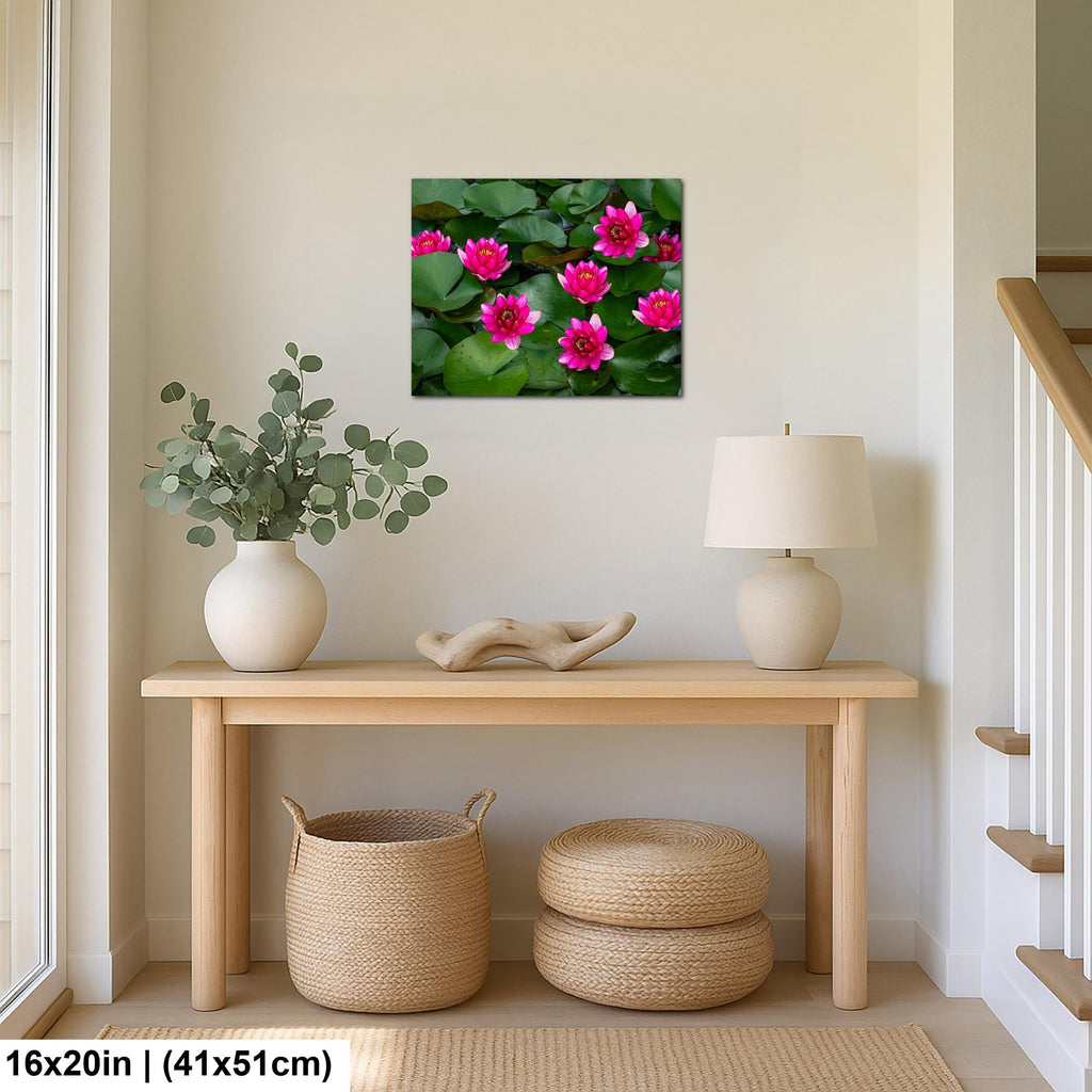 Magenta Blooms: Nymphaea Water Lilies Botanical Photography Wall Art
