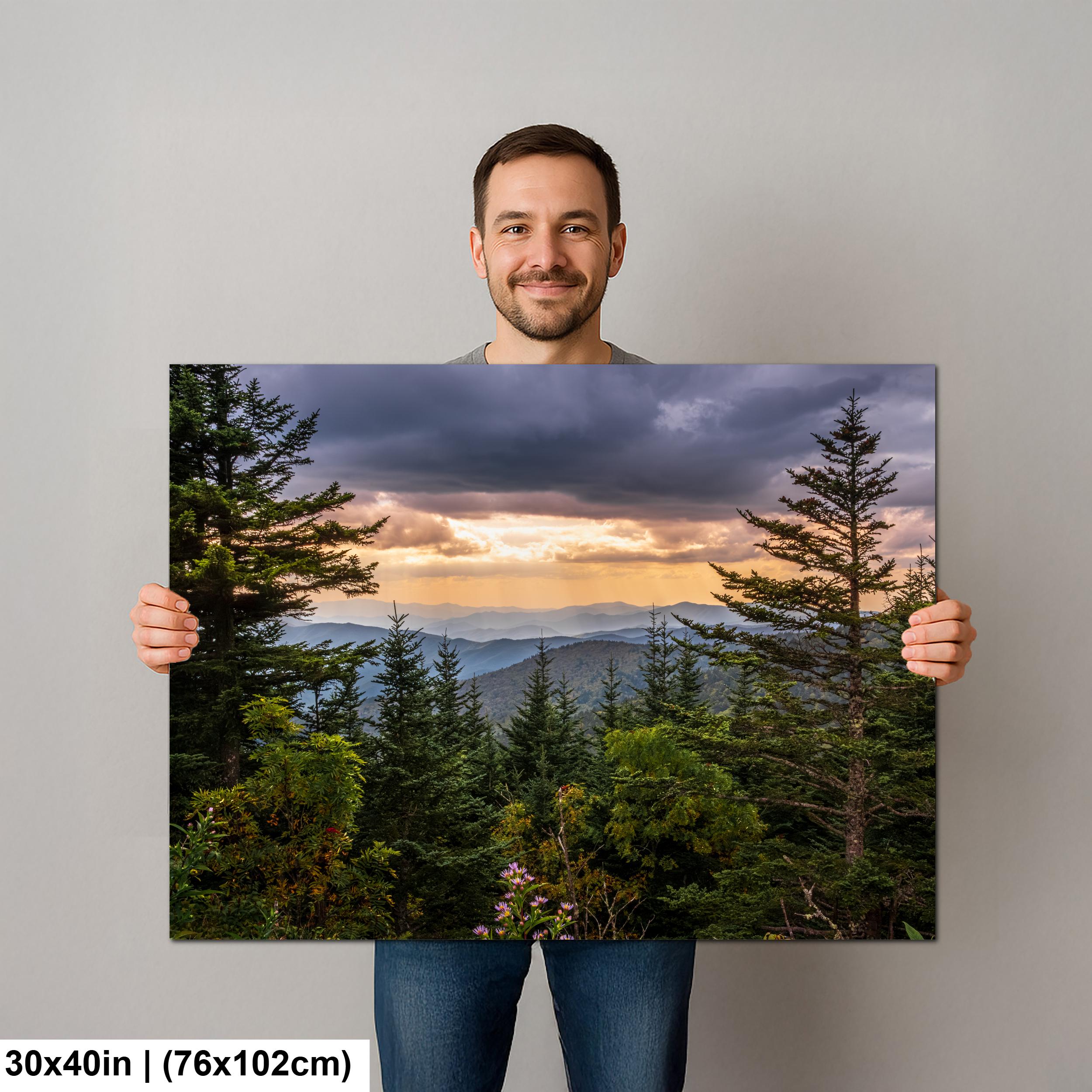 Between the Pines: Scenic View Great Smoky Mountains TN Photo Wall Art