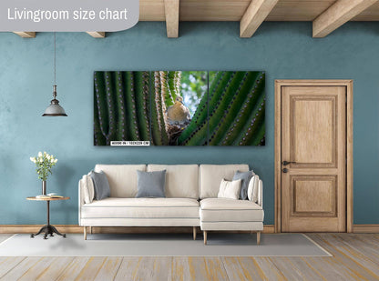 Mourning Dove in Saguaro Cactus Nest Arizona Desert Wildlife