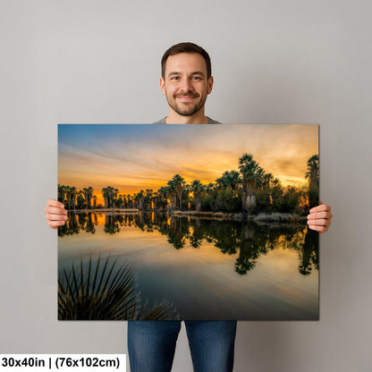 Agua Caliente Park Sunset Palm Oasis Reflection - Tucson Arizona Photography Print