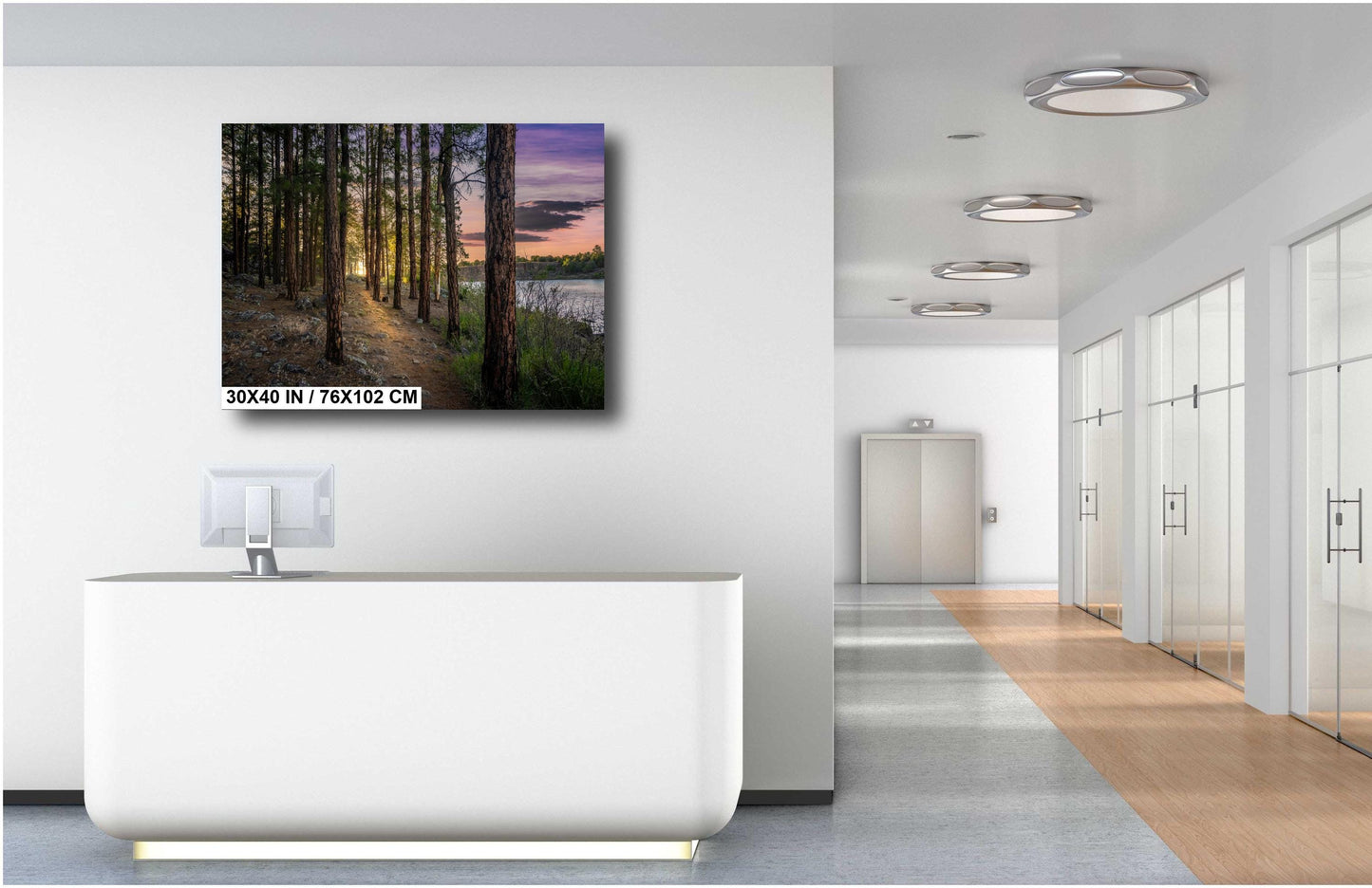 Show Low Lake Arizona: Tranquil Lakeside Pines Photography Wall Art