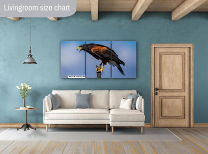 Harris's Hawk Desert Photography Print: Arizona Wildlife Art