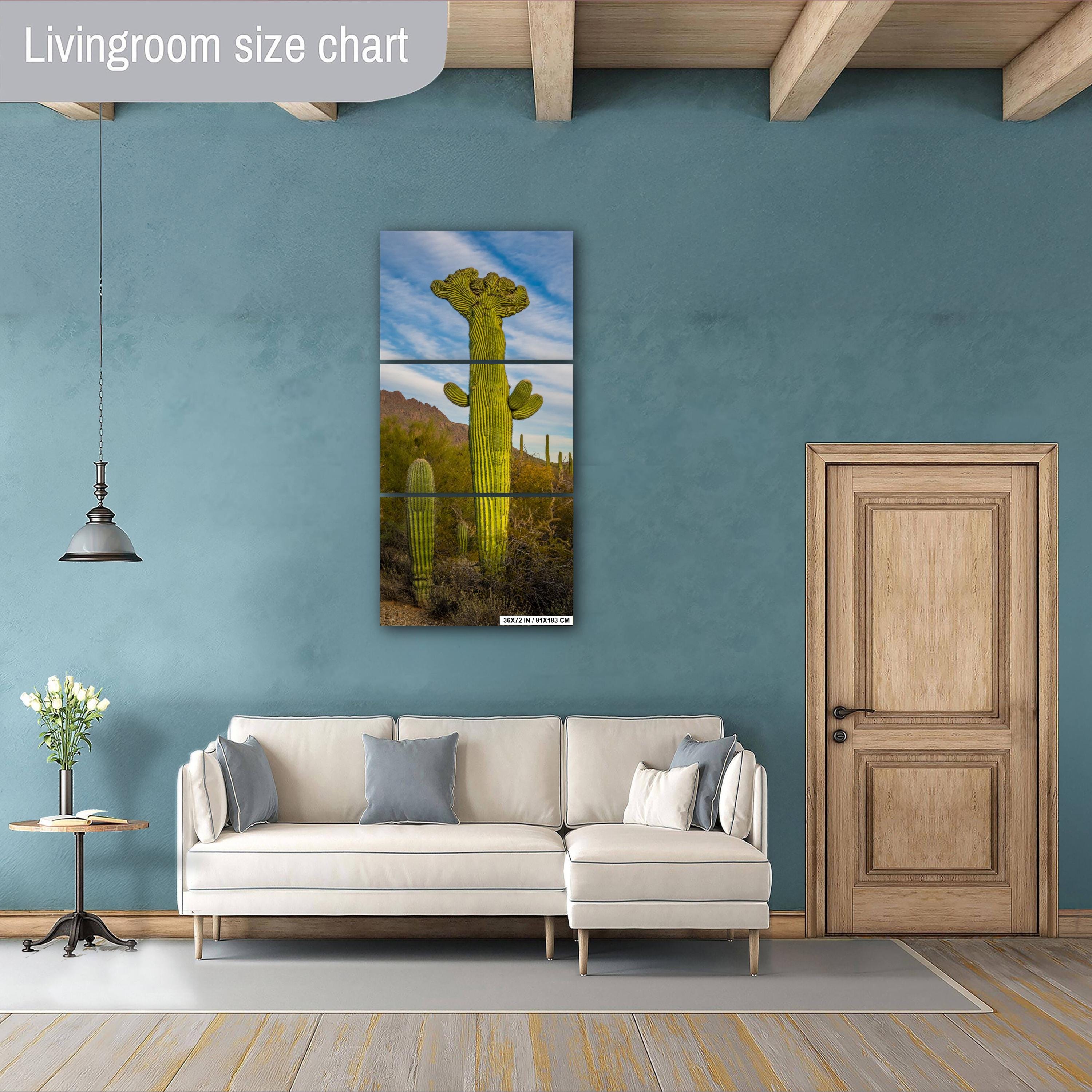 Saguaro Cactus: Tucson Mountain Park, Arizona Desert Photography Wall Art