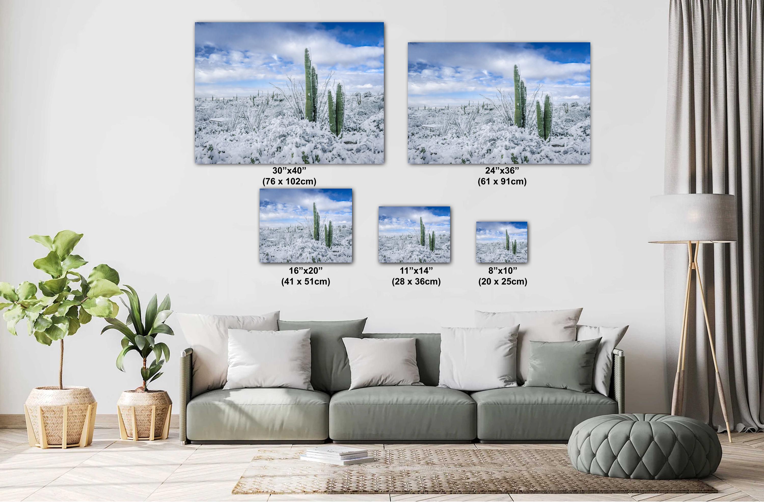 Saguaro National Park Winter Print: Arizona Desert Snow Scene