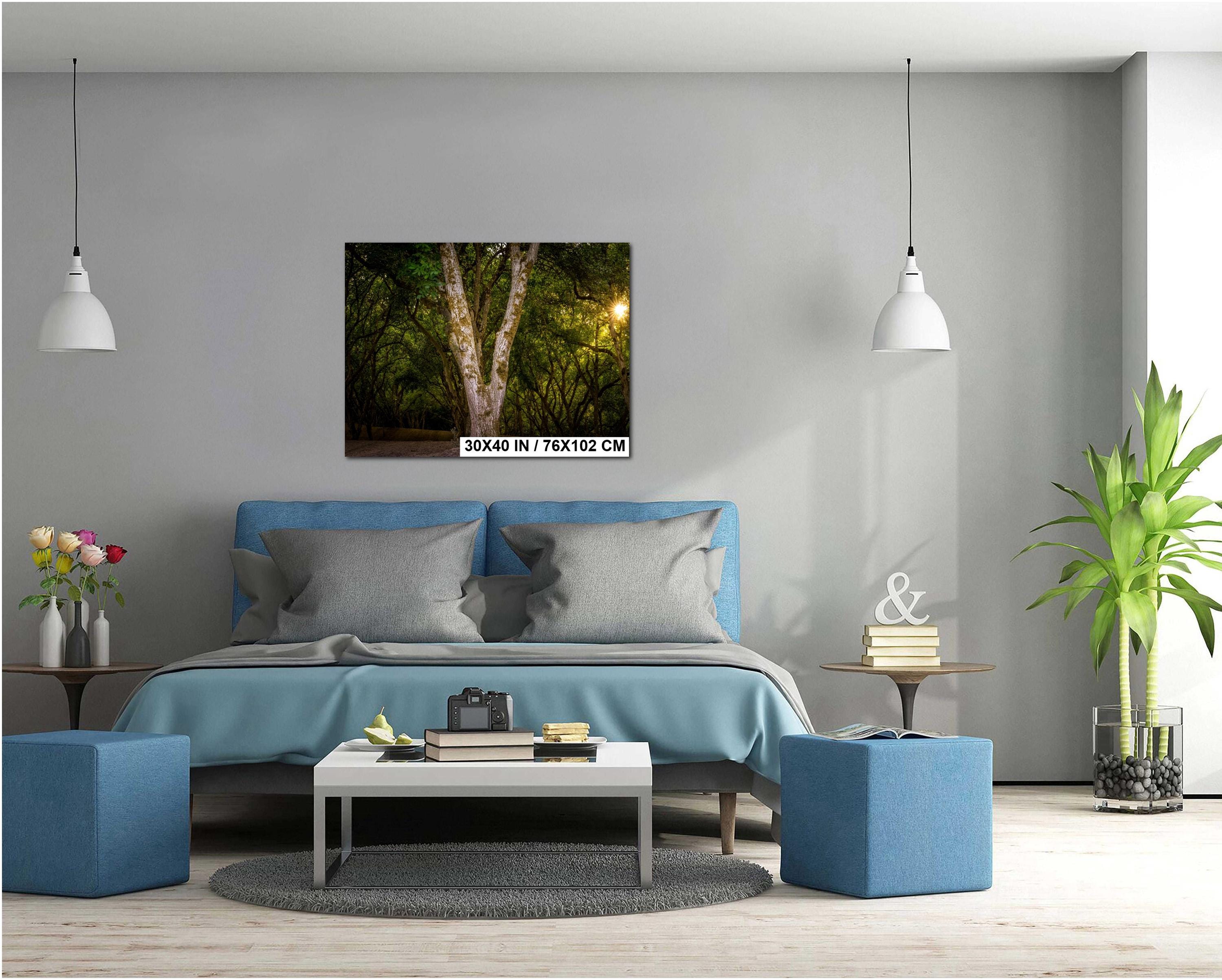 Oregon Forest Sunburst Tree Print, Pacific Northwest Nature Wall Art