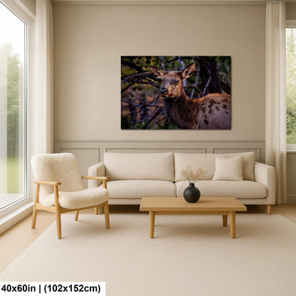 Young Elk Portrait, Arizona Wildlife Wall Art, Forest Animal Nature Decor Photography Print
