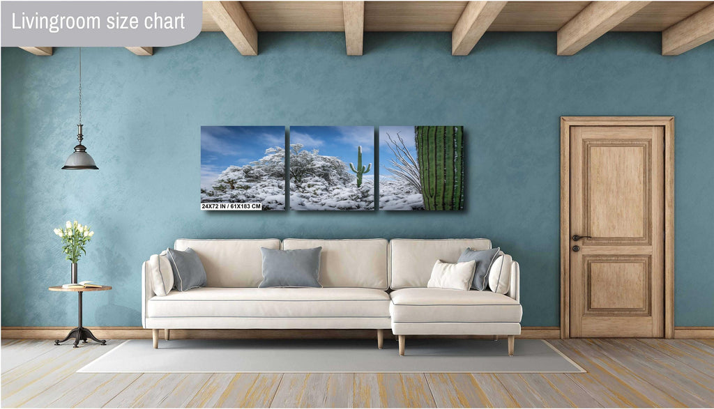 The White Desert: Snowfall in Saguaro National Park Tucson Arizona