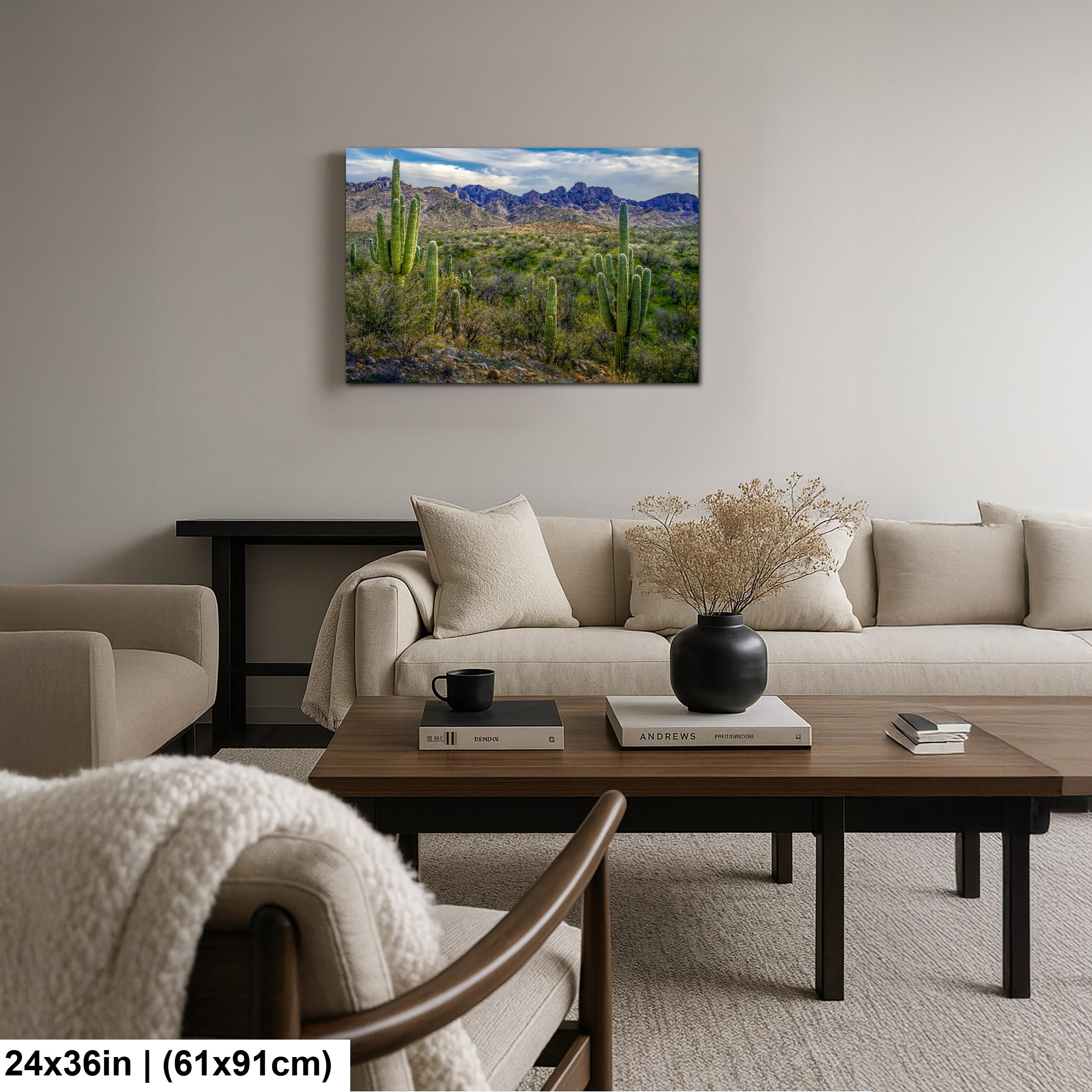 Sonoran Desert Landscape with Saguaros and Mountain Ridge - Tucson Arizona Photography Print