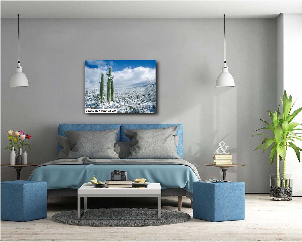 Snowy Saguaro Cactus Print: Tucson Arizona Winter Wonderland