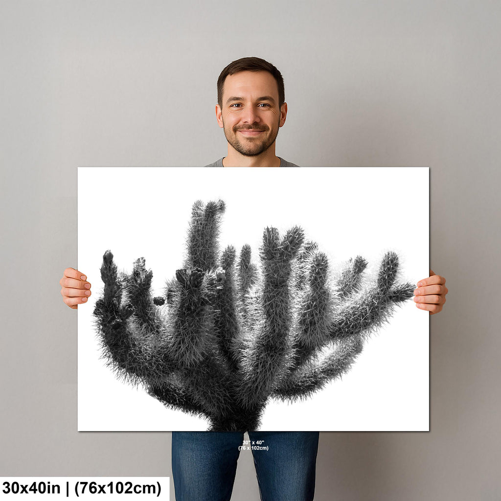 Joshua Tree Cholla Cactus Print: Black and White Desert Photography