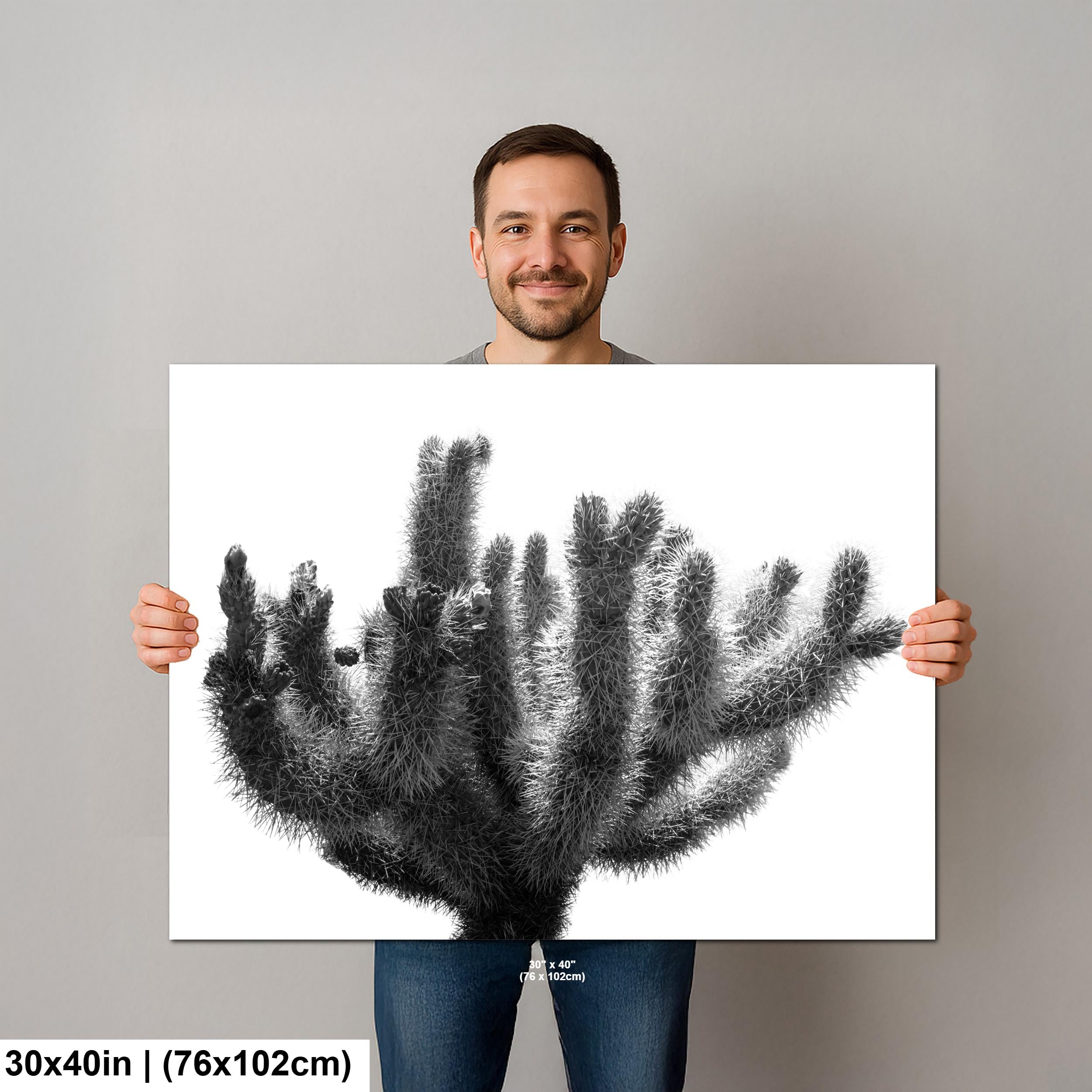 Joshua Tree Cholla Cactus Print: Black and White Desert Photography