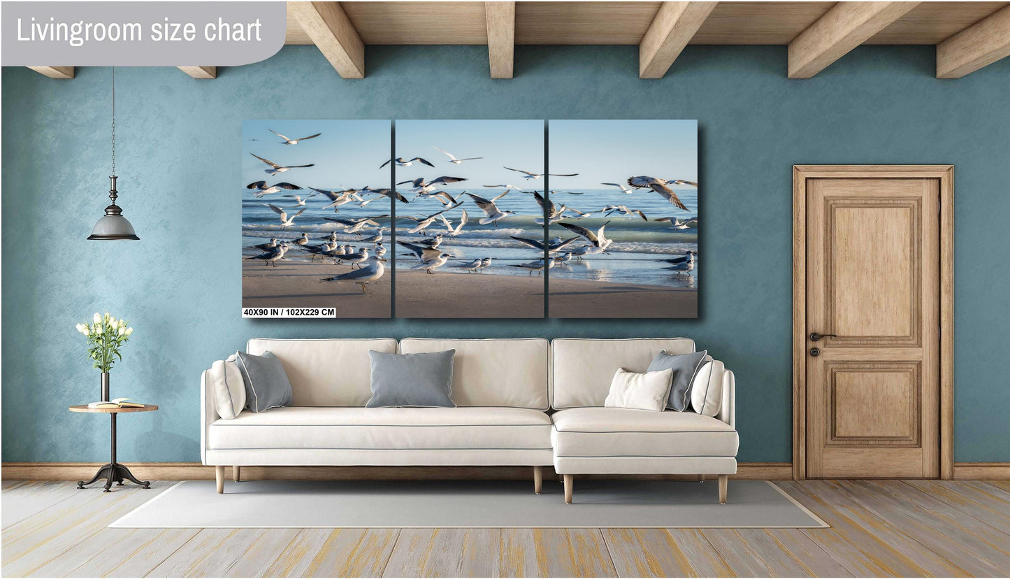 Seagulls of Anna Maria Island Beach, Florida Print Wall Art Bird Wildlife Photography Aluminum/Acrylic/Metal/Canvas Coastal Seascape Decor
