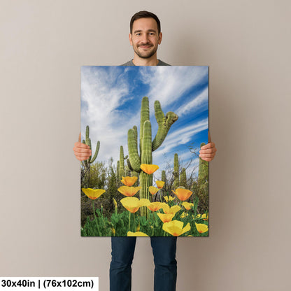 Mexican Gold Poppies Beneath Saguaros - Catalina State Park Tucson Arizona Photography Print
