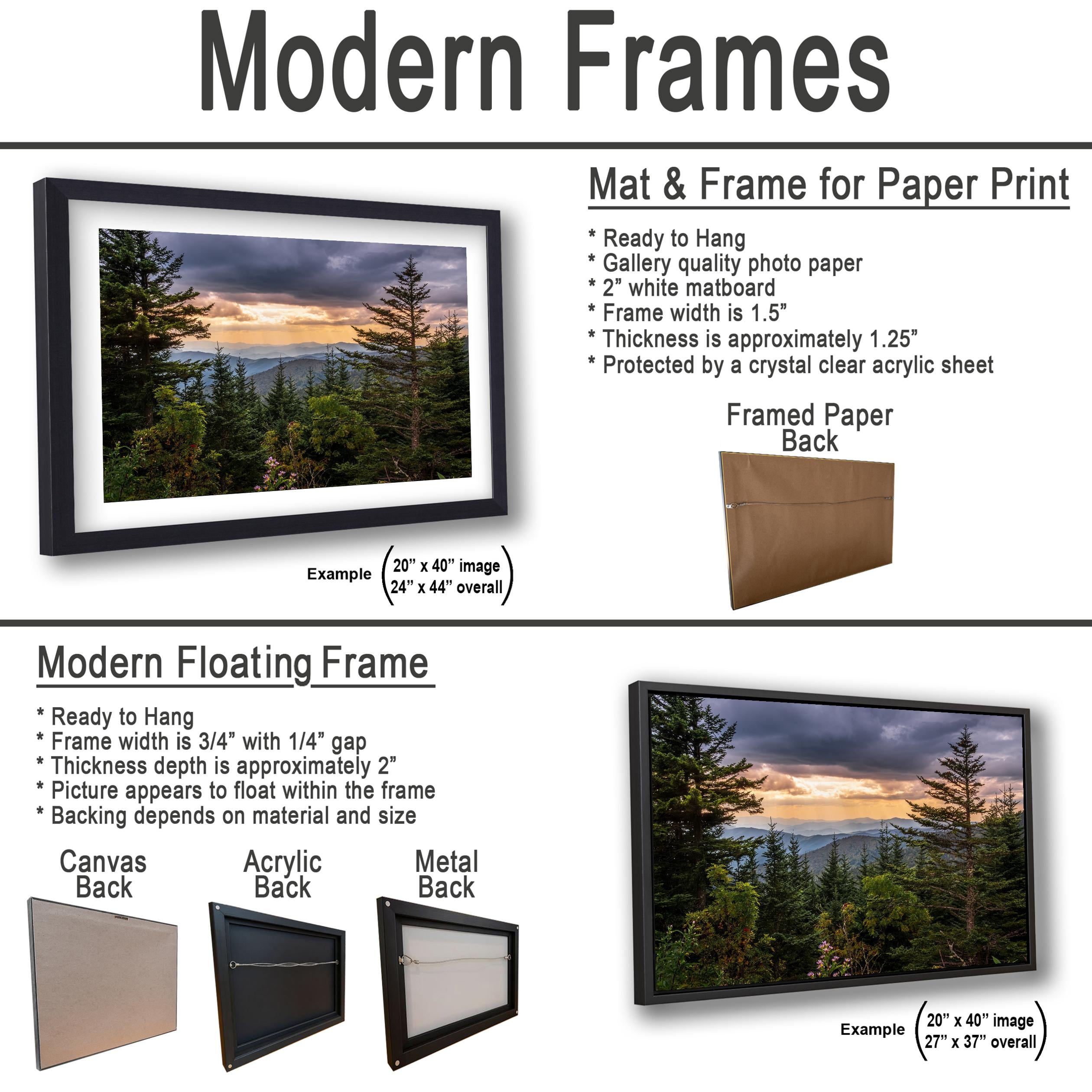 Between the Pines: Scenic View Great Smoky Mountains TN Photo Wall Art