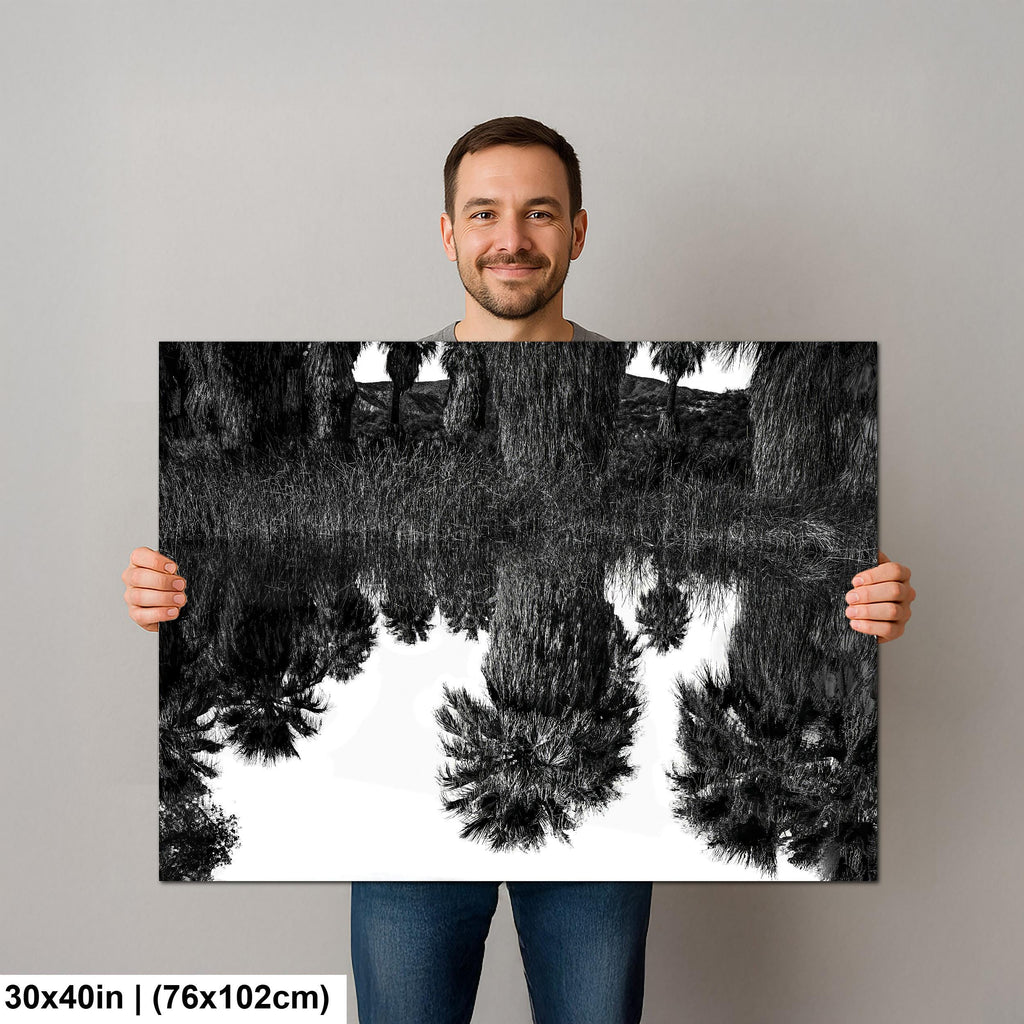 Palm Reflections: Coachella Valley Preserve CA Black White Photo Wall Art
