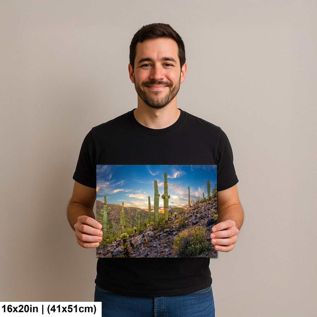 Sonoran Desert Saguaros at Sunset, Casa Grande Arizona Photography Wall Art