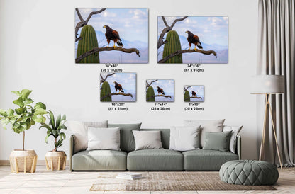 Living room with a sofa and decorative wall art of hawk on cacti