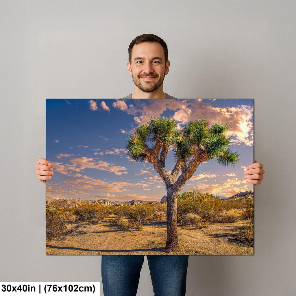 Desert Icon: Joshua Tree National Park California Landscape Photo Wall Art