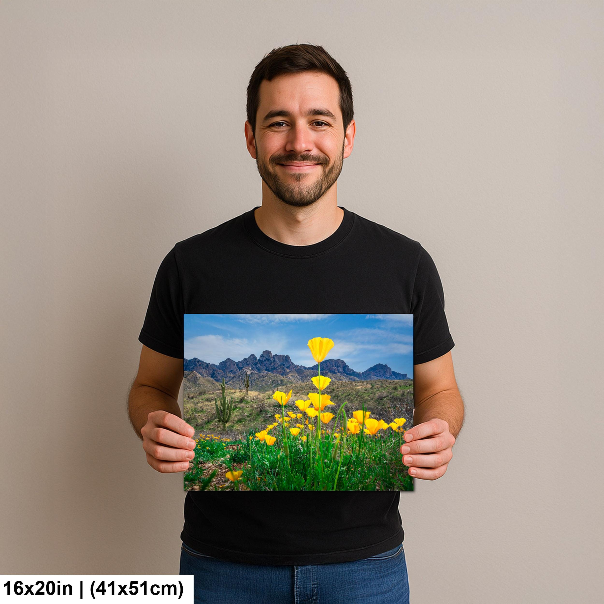 Arizona Poppies in Bloom with Saguaros and Mountains - Catalina State Park Tucson Photography Print