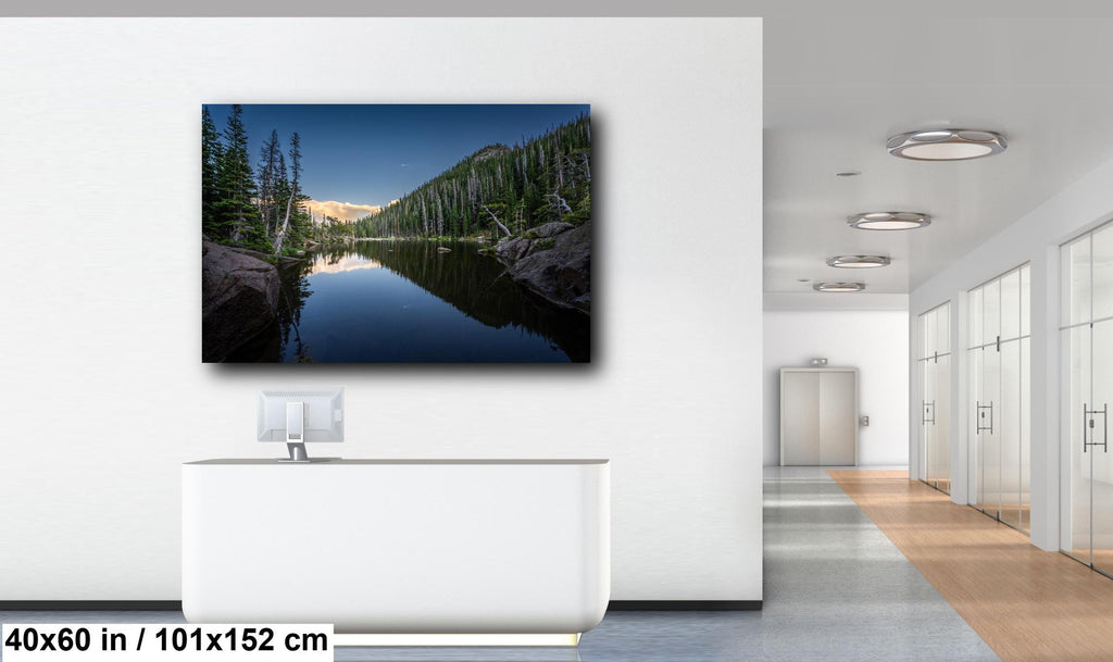 Dream Lake Pines Print: Rocky Mountain National Park Wall Art